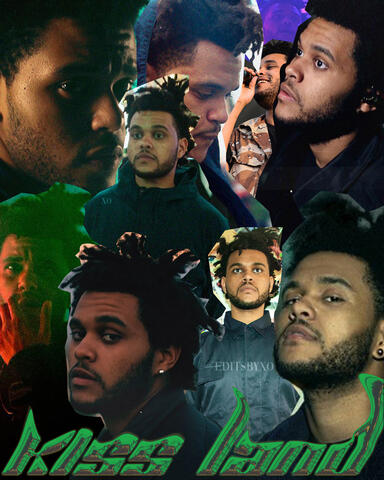 Kiss Land